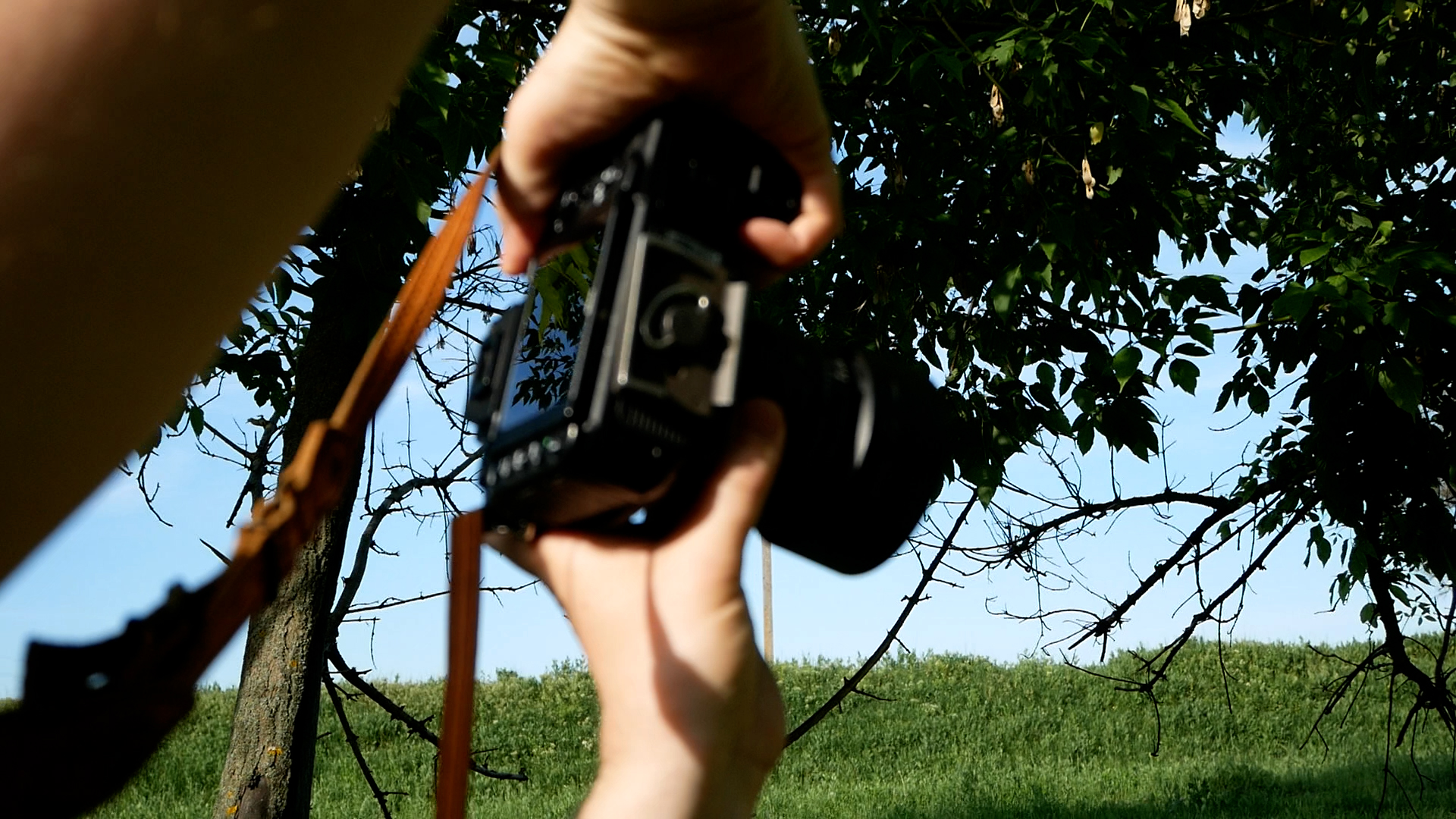 Сонячний зайчик