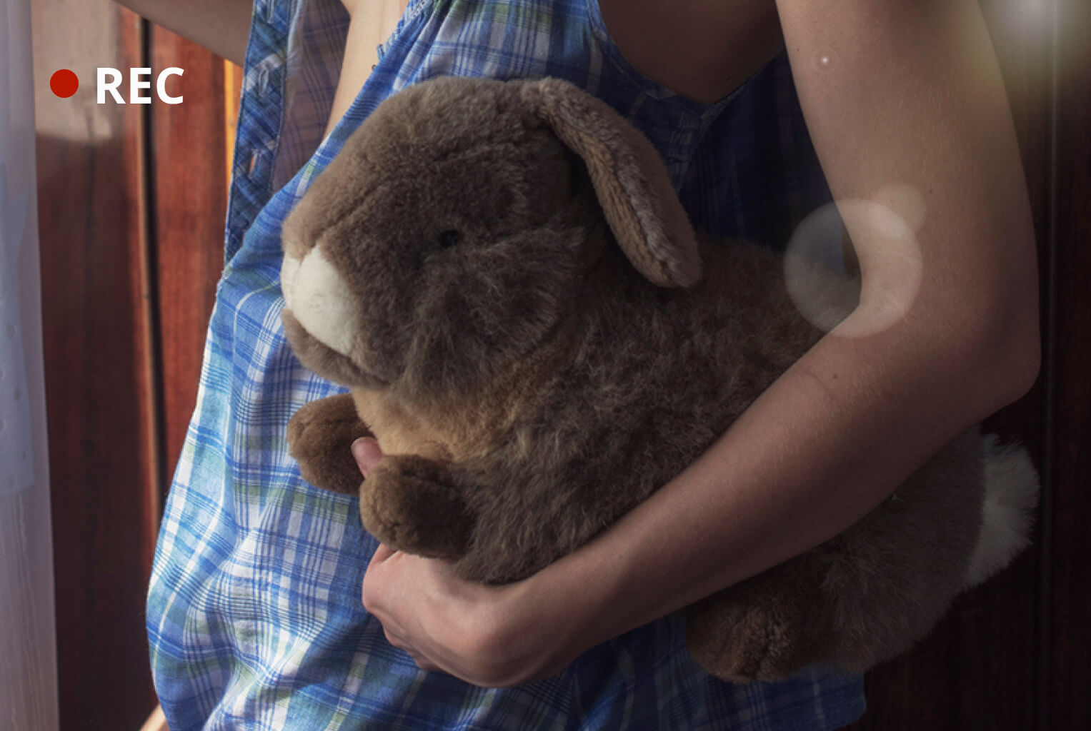 Un lapin en peluche