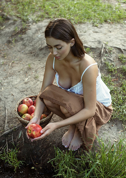 リンゴの舞台裏