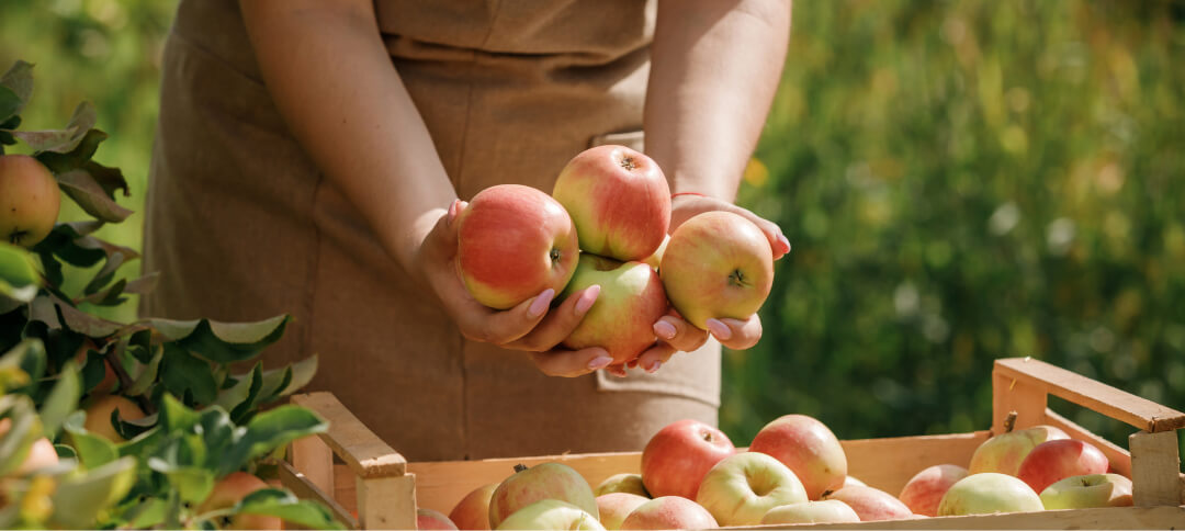 Фруктовий сад