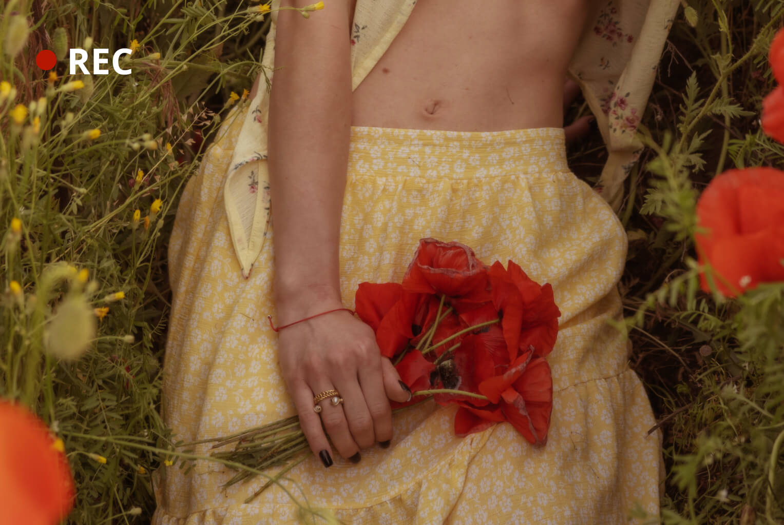 In a field of red poppies