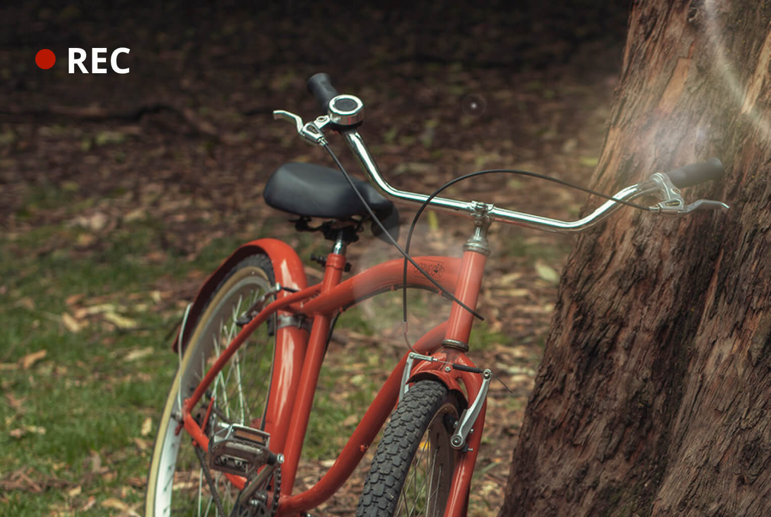 Une fille avec un vélo