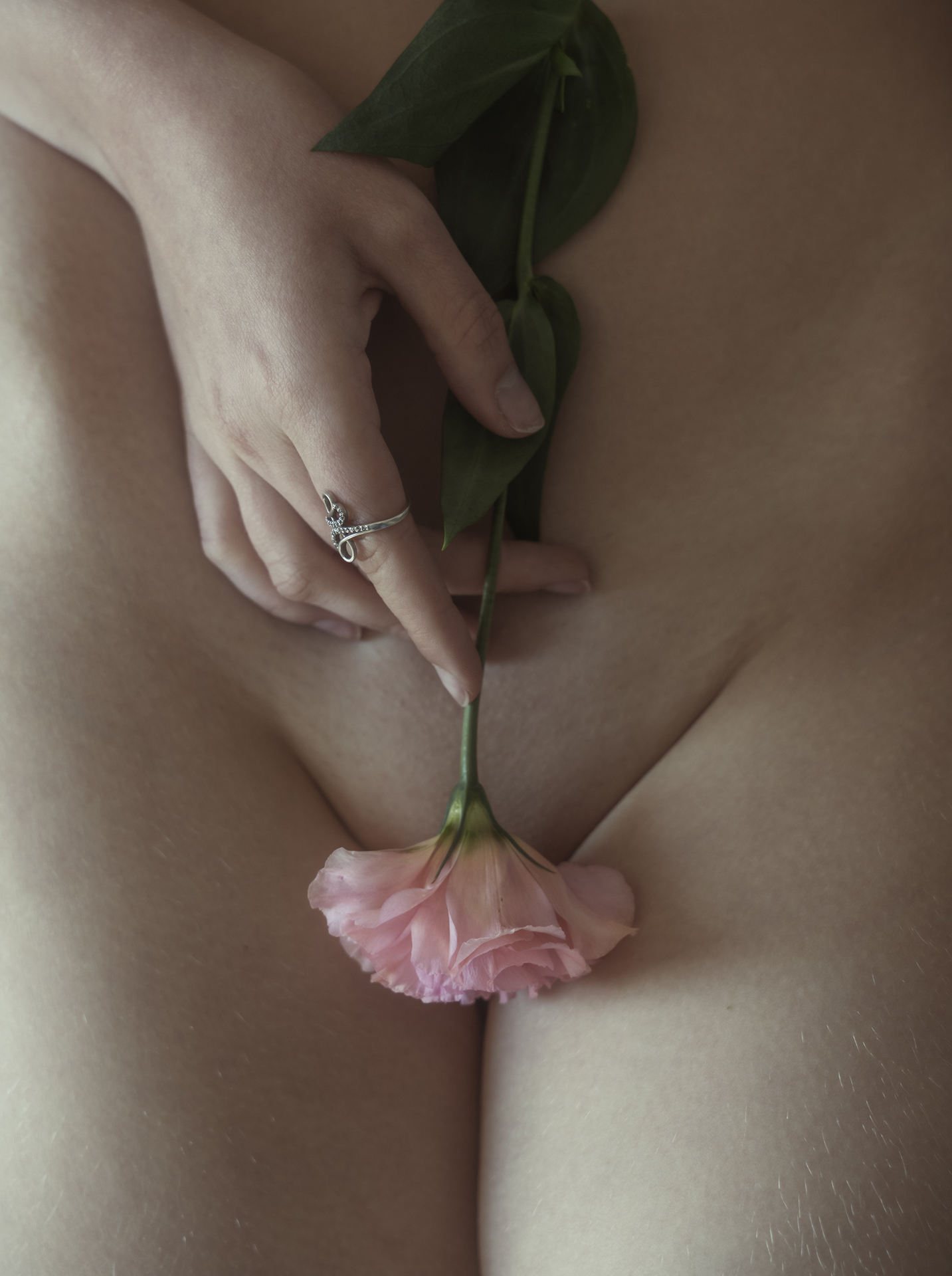 Tender flower