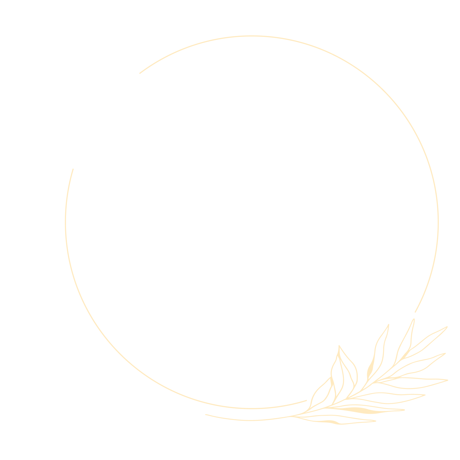 Mastering Art Nude Photography