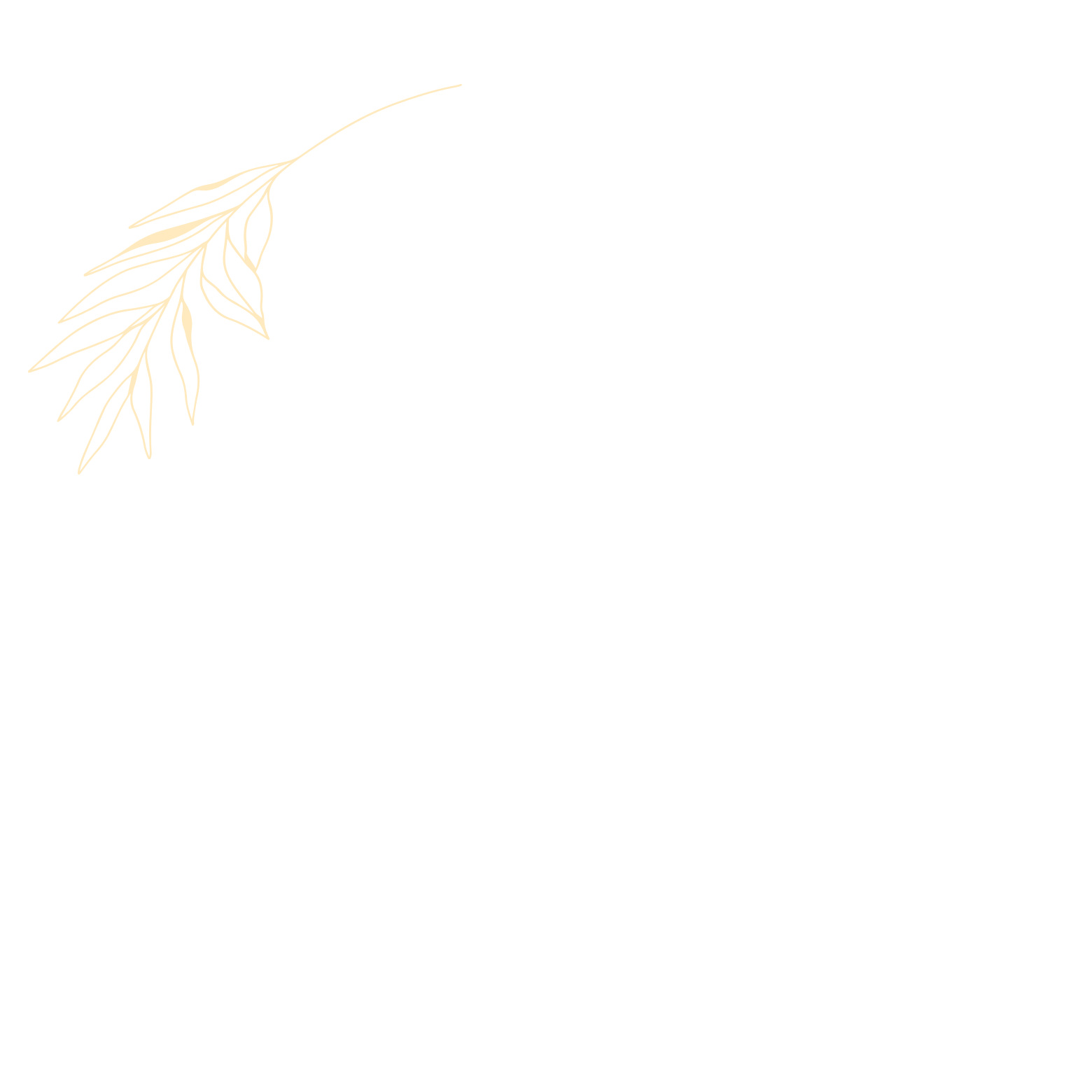 Mastering Art Nude Photography